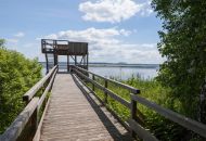 
                                  Steinhuder Meer: Steg Neue Moorhütte