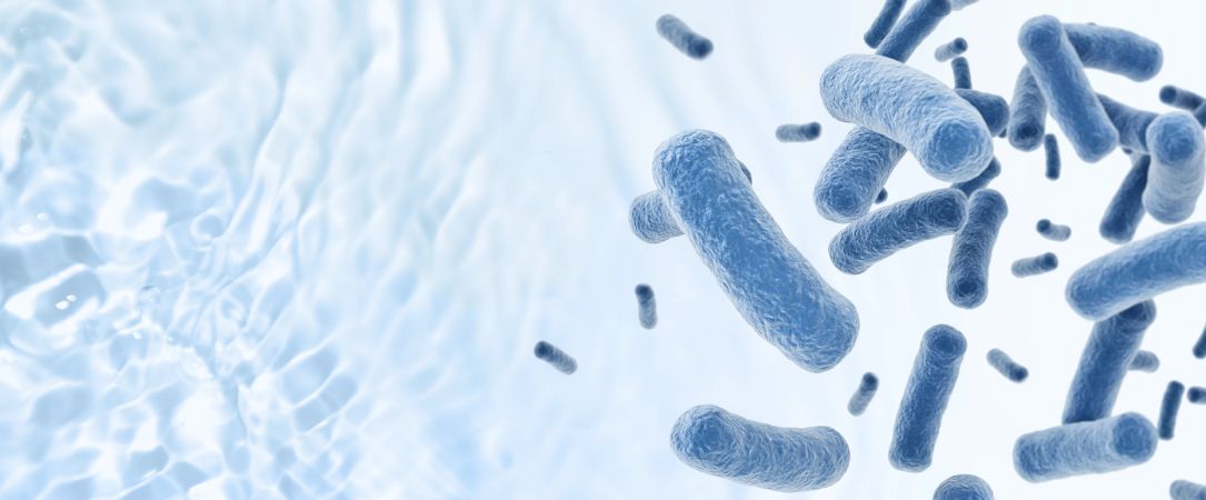 Schutz vor Legionellen Header