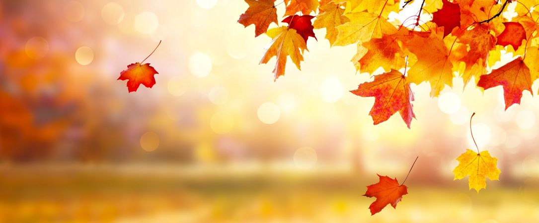 
                  Stadtgeflüster – Bunte Herbsttipps